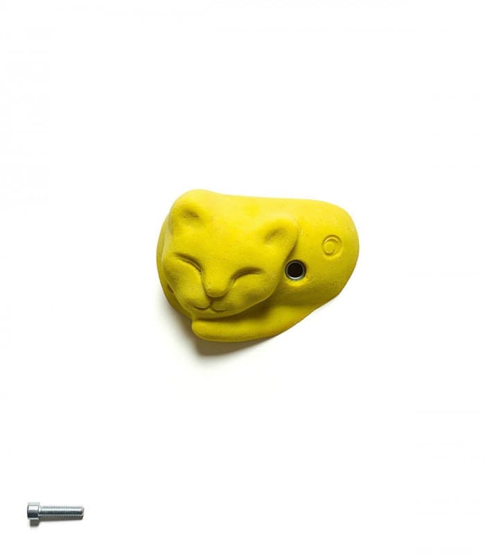 120er-Pack Kinderklettergriffe