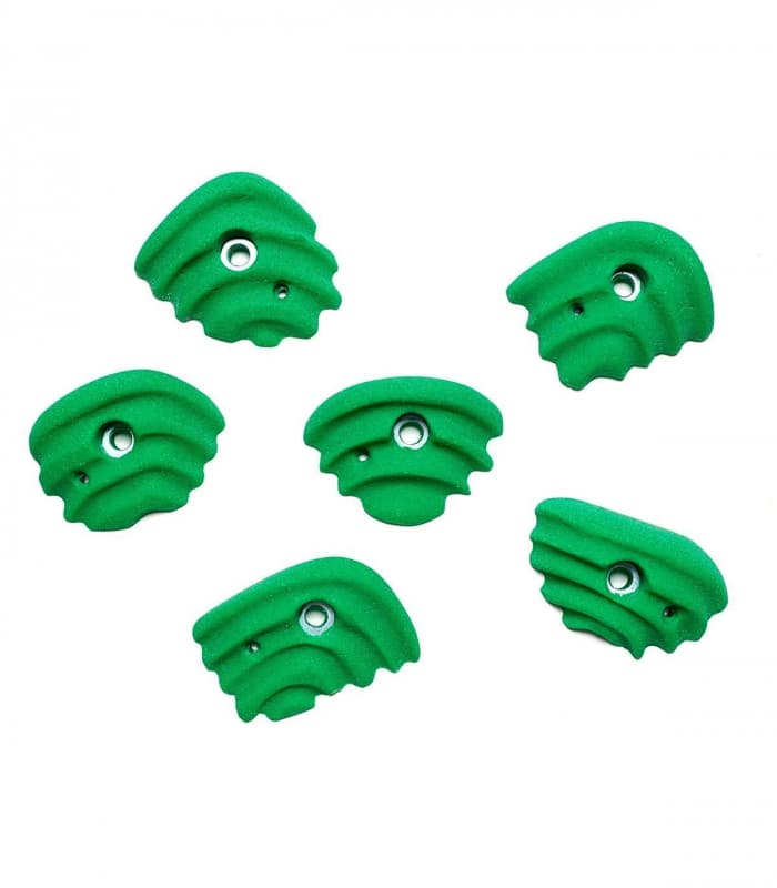 Klettergriffe Muscheln – 6er-Pack mit Sandsteintextur